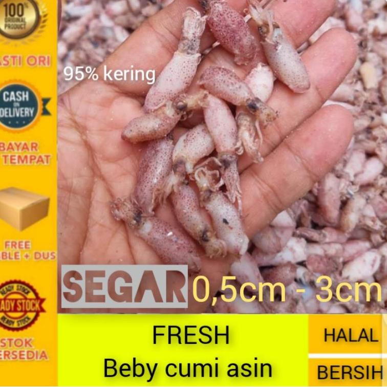 

◘ ikan asin cumi beby super ♦