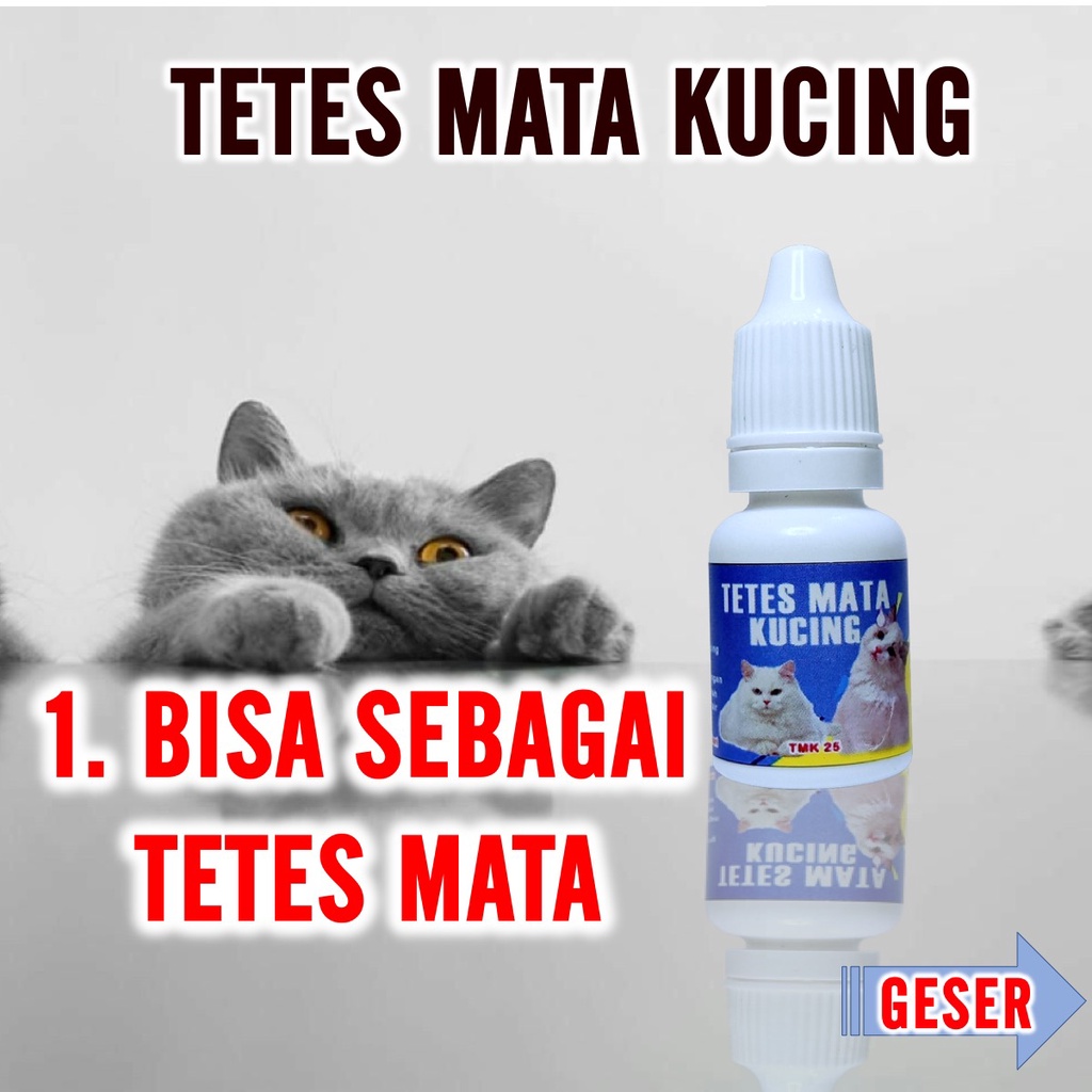 Obat Tetes Mata Hidung Telinga Kucing 3 Fungsi dalam 1 Botol