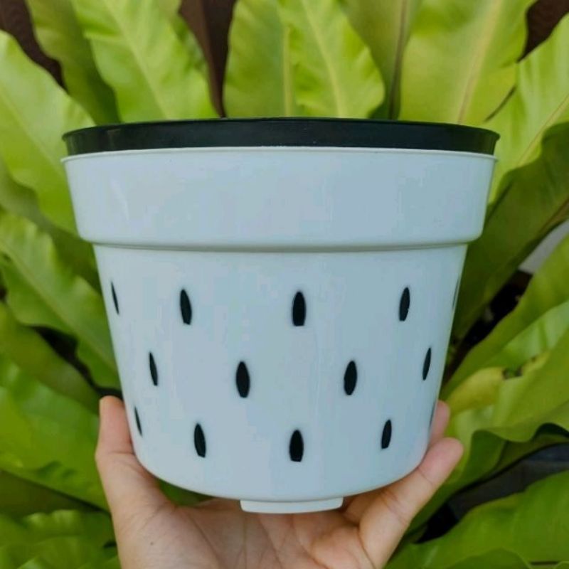POT ANGGREK NKT BASIC 20 (18 cm) LUBANG BANYAK