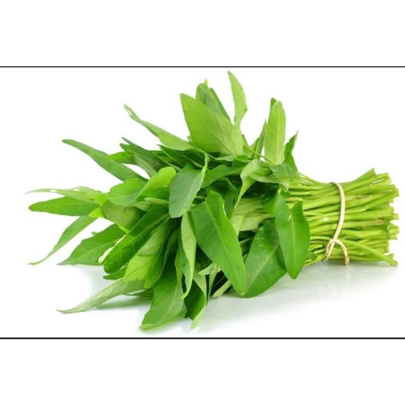 

sayur kangkung