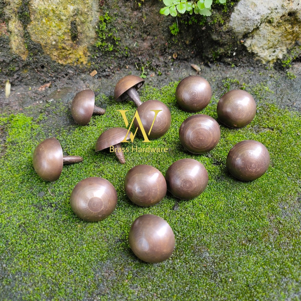 Paku Pines Kuningan Paku Pintu Antik Aksesoris Paku Pintu Pagar Ukuran 2 cm