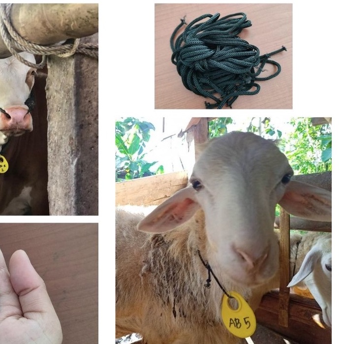 Neck Tag Necktag Nektek Kalung Penanda Hewan Ternak kambing Domba dll FEZONE