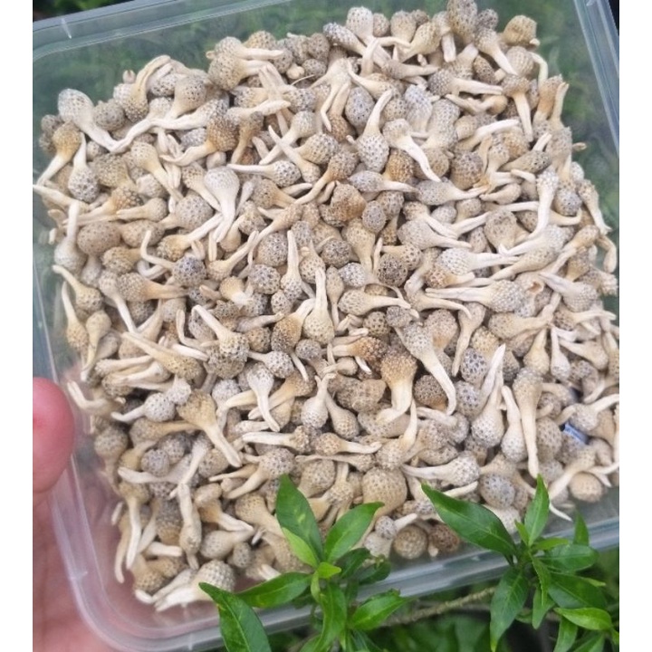 MPOT AYAM ORIGINAL  1 KG | EMPOT AYAM