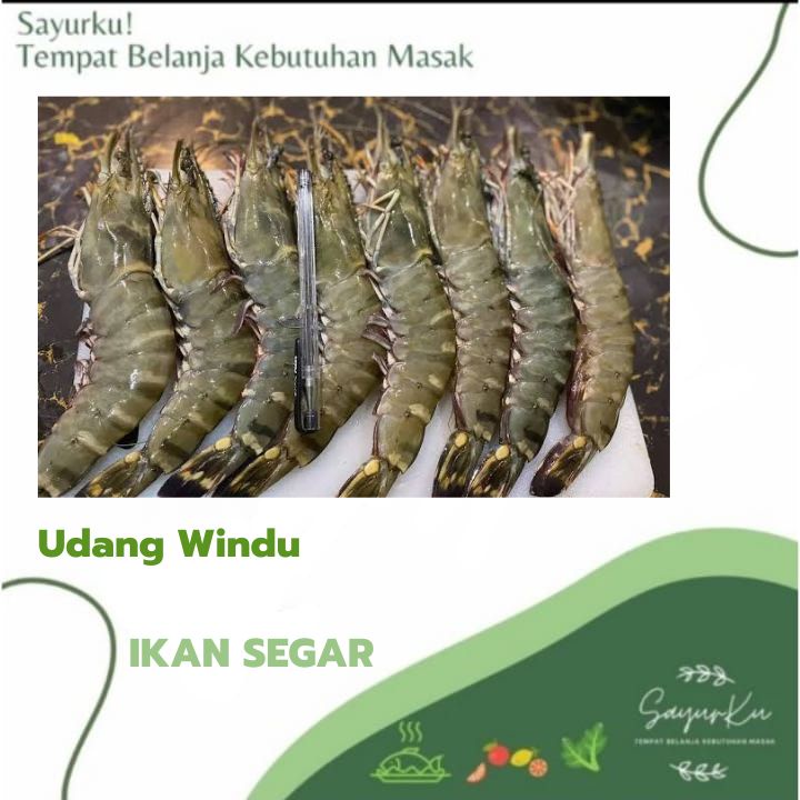 

udang windu fresh