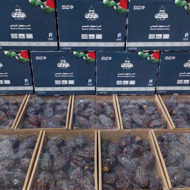 

Kurma Medjool Palestina Al Quds Medjol Jumbo Dus 500 Gram Non Cod Tokosimbah00