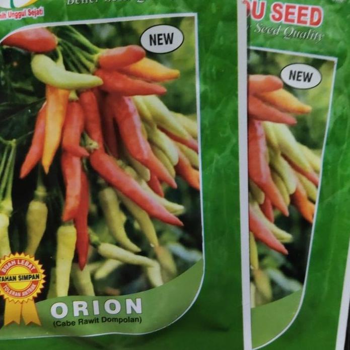 ➹ Benih cabe rawit ORION F1 10 gram cabe rawet putih merunduk berdompol hibrida dari you seed cabe b