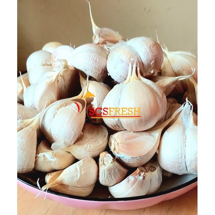 

Bawang Putih Kating Bersih 250 Gram