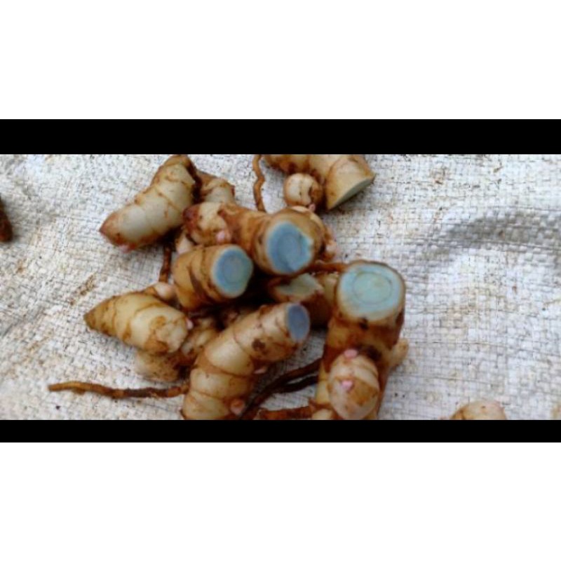 

temu lawak /Koneng hitam 1kg