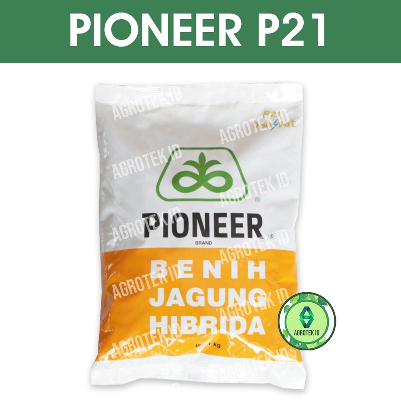 PIONEER P21 Benih Jagung Hibrida 1 Kilogram
