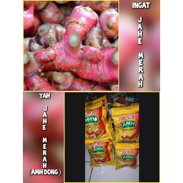 

MINUMAN SERBUK INSTAN - MINUMAN JAHE MERAH AMH ISI 12 SACHET