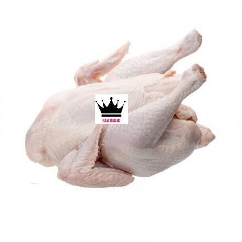 

Ayam Karkas Broiler Potong Utuh 0.9-1kg