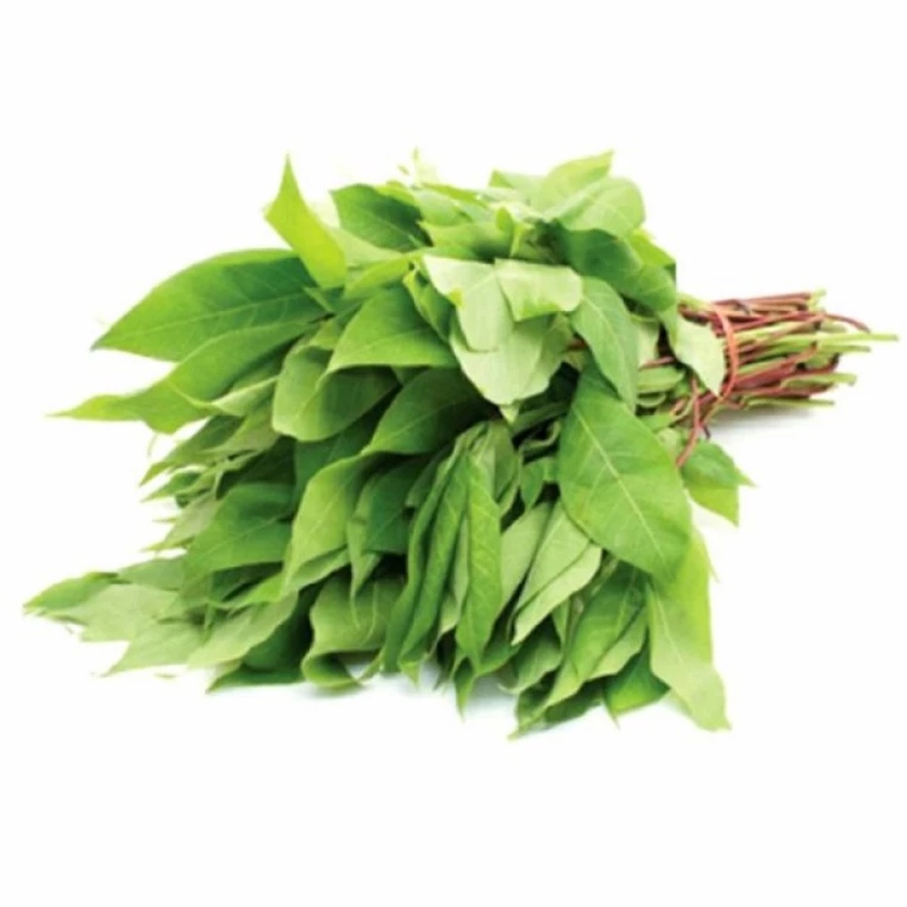 

DAUN SINGKONG 1 IKAT FRESH MURAH