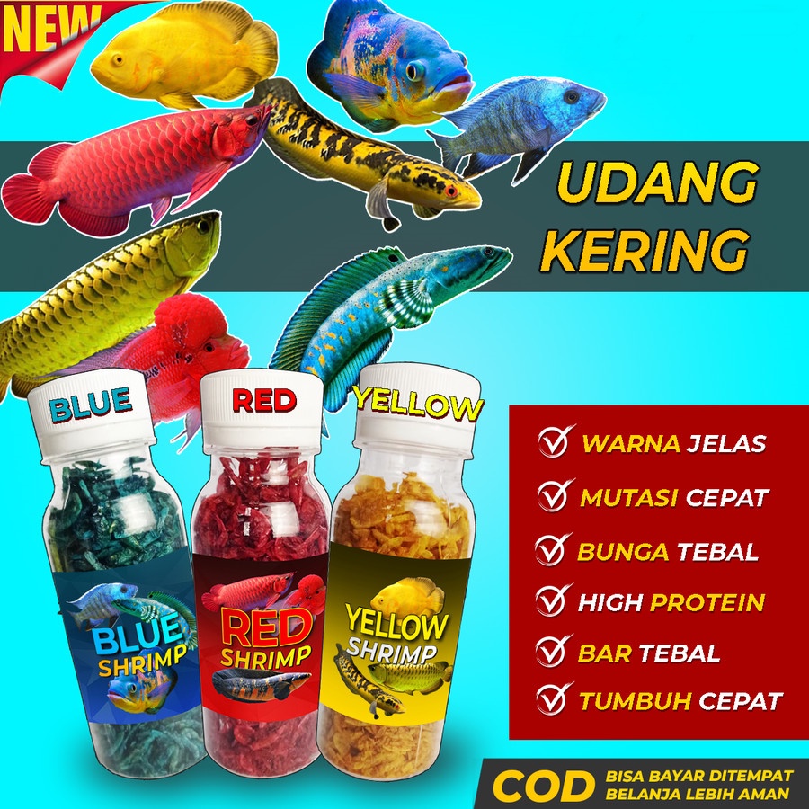 Udang Kering Pakan Ikan Channa Maru Yellow Sentarum Auranti Limbata 23gr