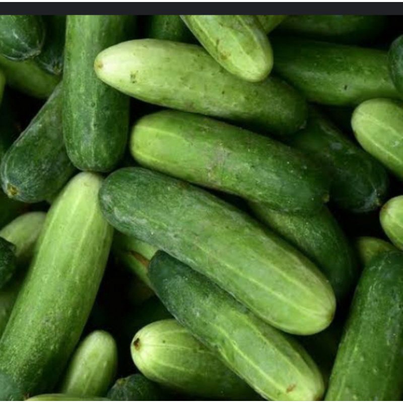 

KETIMUN FRESH ( PILIHAN SPESIAL ) 1 KG