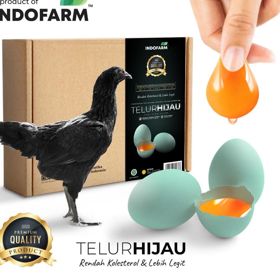 

Model Baru4k4Jy Indofarm Telur Hijau dari Ayam Hitam Rendah Kolesterol Isi 20 Butir