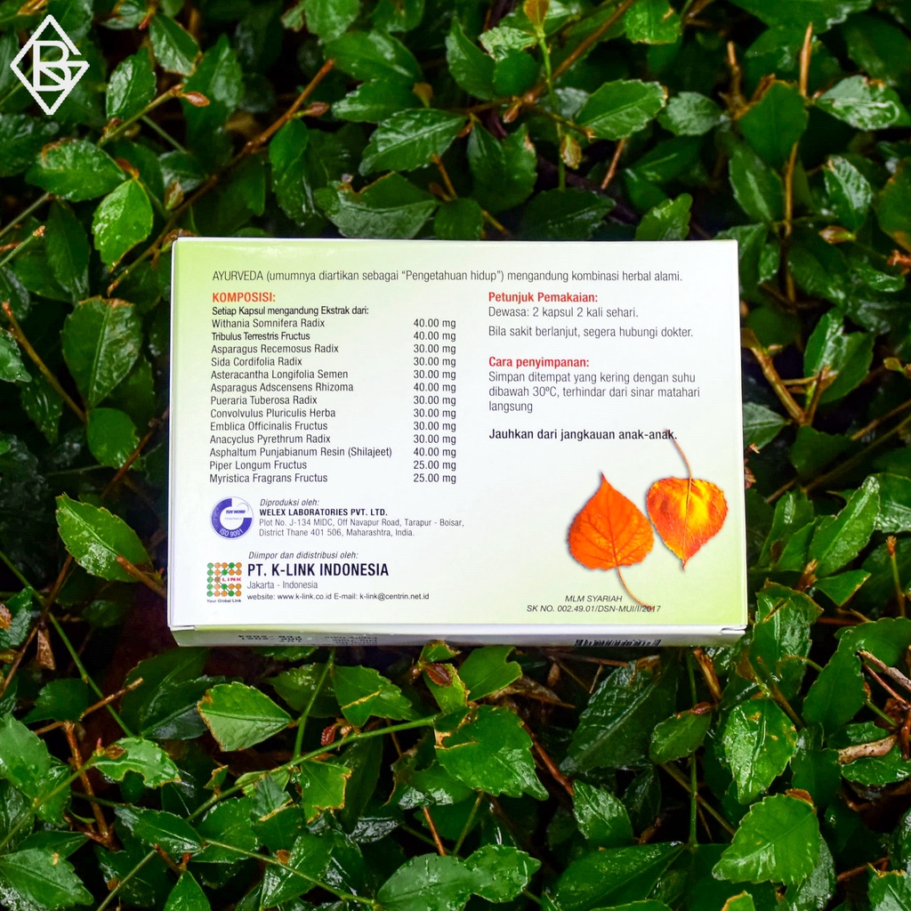 K-Ayu Vigo 60 capsul asli | K Ayuverda AyuVigo 60 Capsules ORIGINAL K-LINK | AYU VIGO KLINK