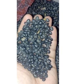 

Sale plus 500 gram Black SOYBEAN Kacang kedelai Hitam