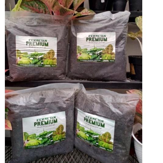 ← Fermetan media tanam fermentasi ➭