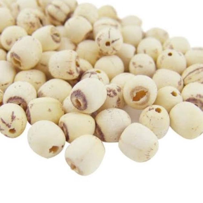

✻ Biji Teratai Ukuran Sedang/Lian zi 500gr ☎