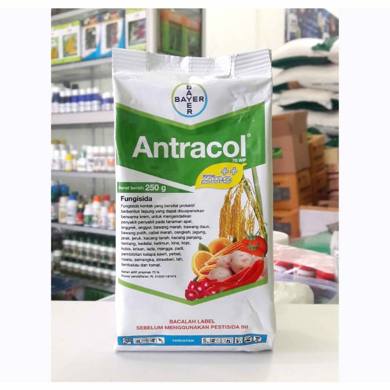 Fungisida Antracol Obat Anti Jamur Pada Tanaman - Antracol Fungisida Anti Jamur