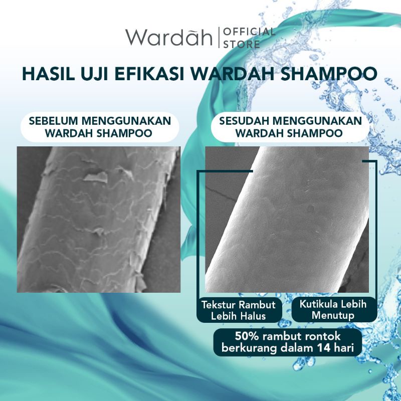 Wardah Shampoo &amp; Conditioner 170ml | Hairfall Treatment | Nutri Shine | Anti Dandruff | Daily Fresh