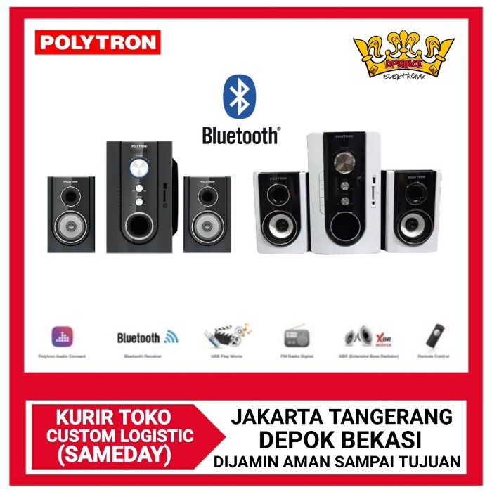 Speaker Polytron Pma 9300