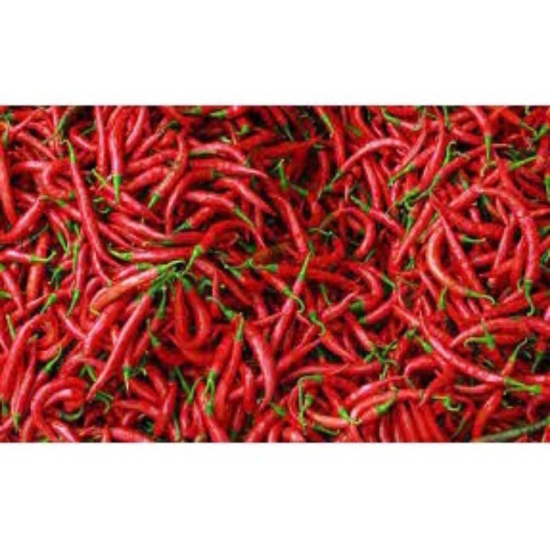 

cabai merah 250 g