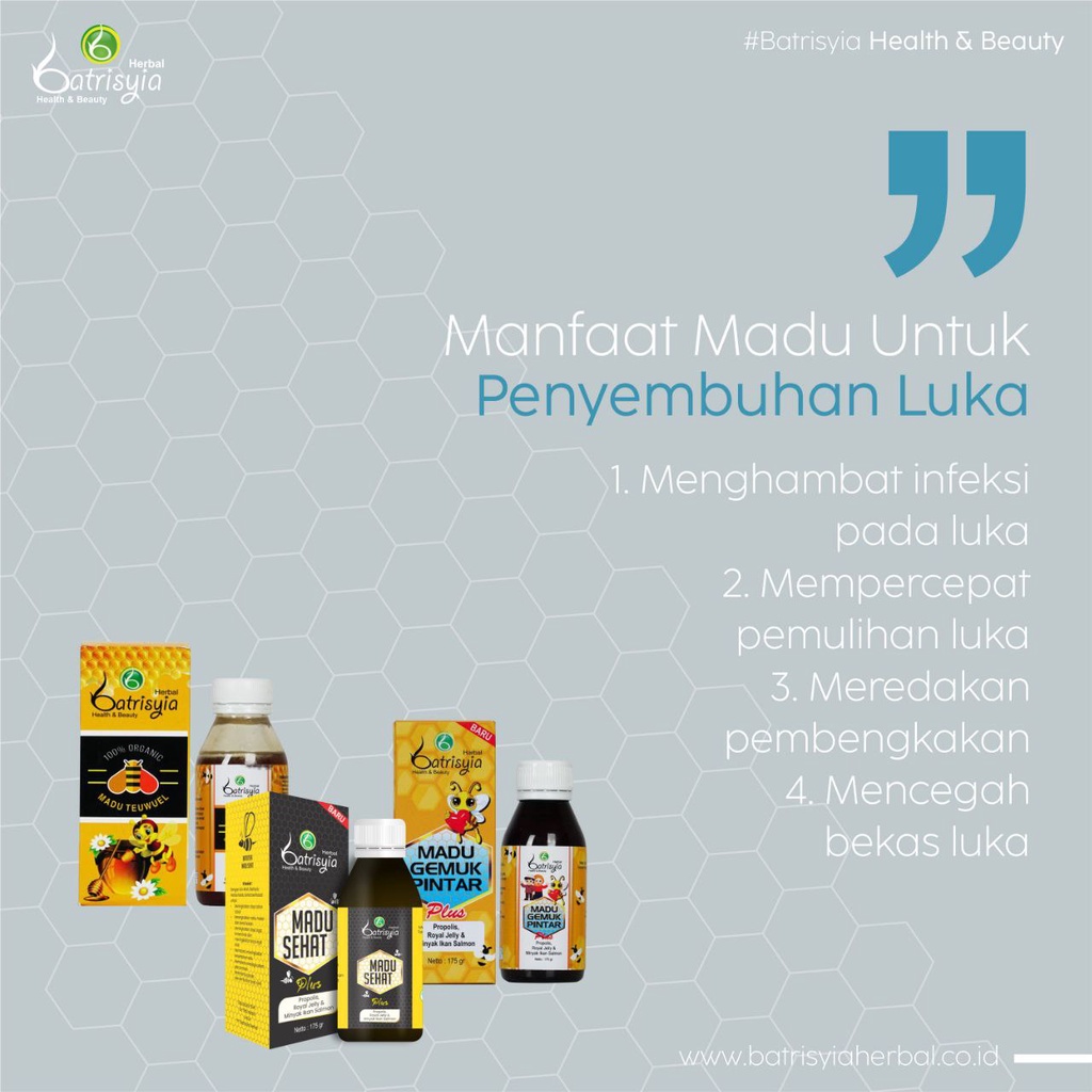 Madu Sehat Gemuk pintar gempi Batrisyia herbal