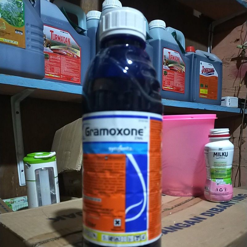 RACUN RUMPUT GRAMOXONE