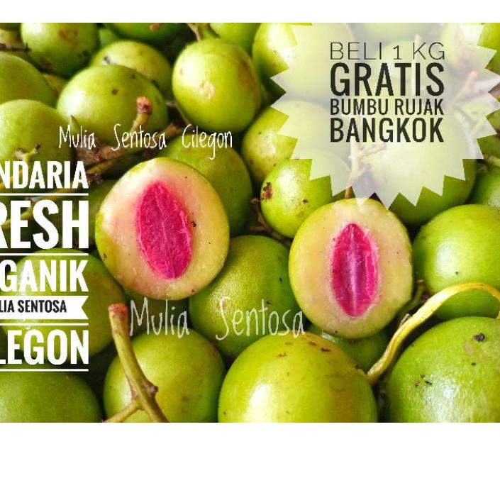 

○ Buah Gandaria fresh organik 1 kg baru petik - Buah Jatake mentah 1 kg ✿