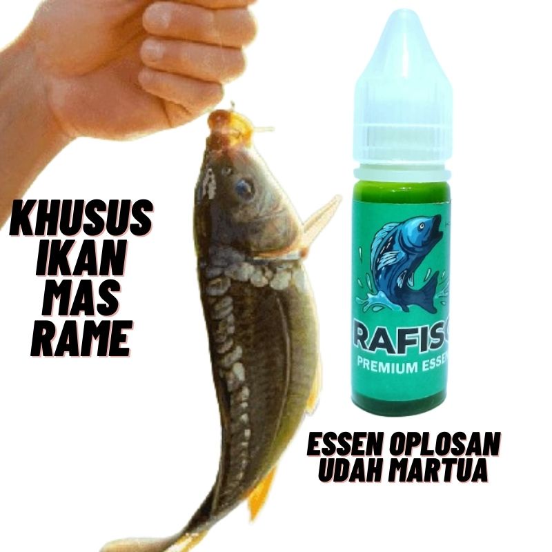Eseen ikan mas paling gacor esen ikan mas gacor esen ikan mas paling bagus musim hujan essen ikan ma