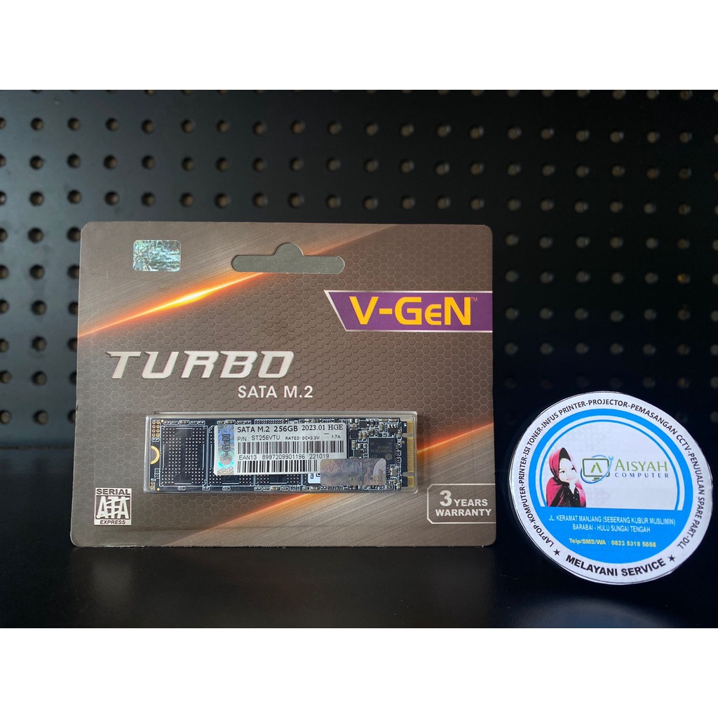 SSD VGEN M.2 SATA 256GB