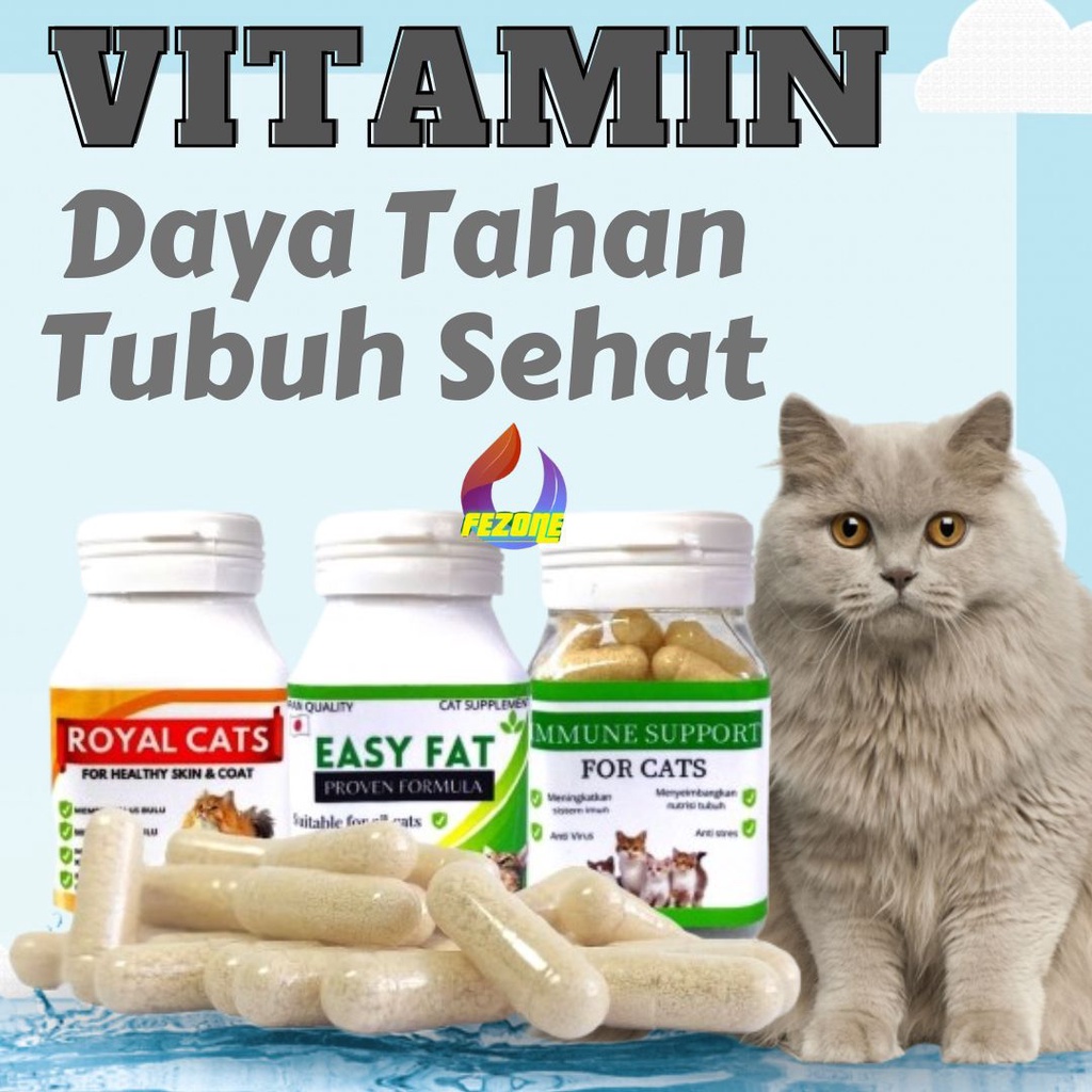 Eceran Vitamin Penggemuk Kucing Nafsu Makan Sehat Gembul EASY FAT FEZONE