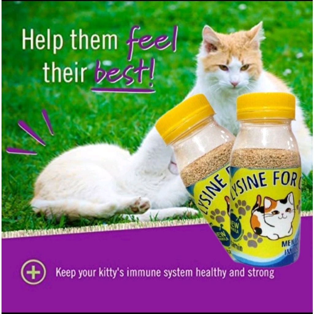 VITAMIN PENGGEMUK DAN BULU KUCING LYSINE,PENAMBAH NAFSU MAKAN