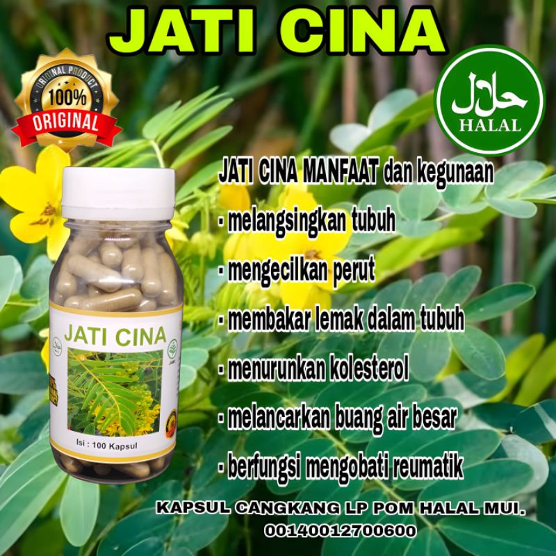 herbal pelangsing kapsul jati cina isi 100