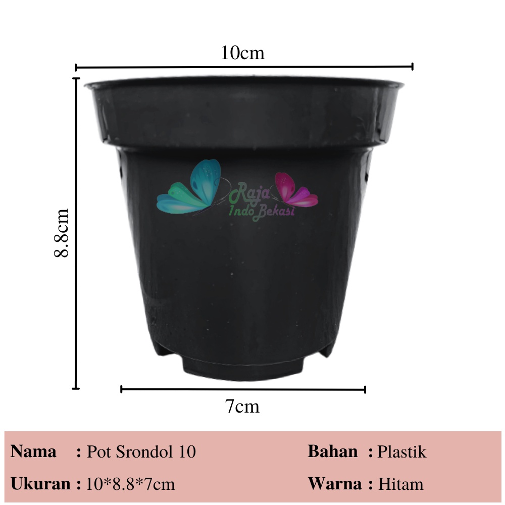 Pot 10cm Hitam Murah - Pot Bulat Mini Kecil Bisa Untuk Vas Bunga Pot 10 cm Hitam Polos Pot Tawon 10