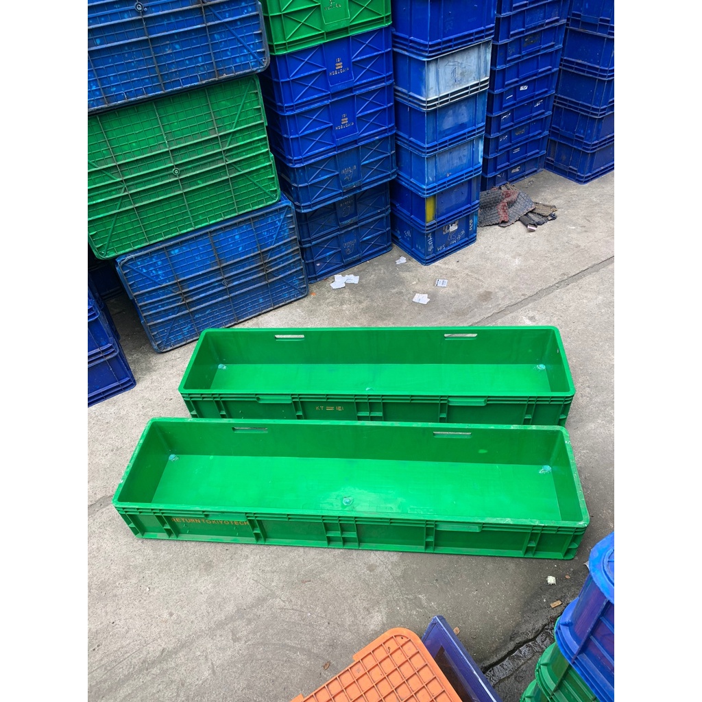 bak ikan cupang hias bak budidaya ikan bak type 6699