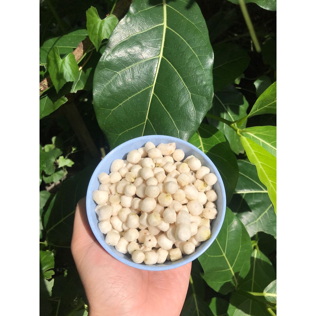 

PILUS CIKUR TOPING BASO ACI DAN SEBLAK 50GR