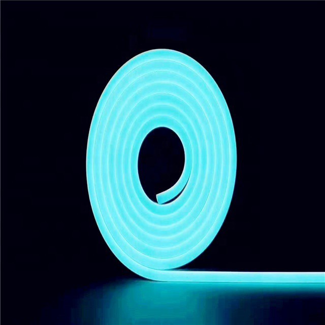 Lampu Selang LED Neon Flex 5 Meter DC 12 Volt