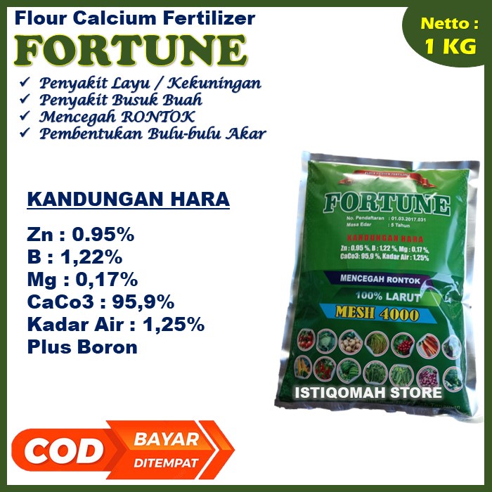 Pupuk Kalsium untuk Layu Fusarium Tanaman Tomat Paling Ampuh FORTUNE 1KG Obat Layu Daun Tanaman Tomat - Pupuk Anti Rontok Bunga dan Buah Tomat - Pupuk Busuk Buah Tomat yang Bagus Buah Tomat Lebat dan Besar