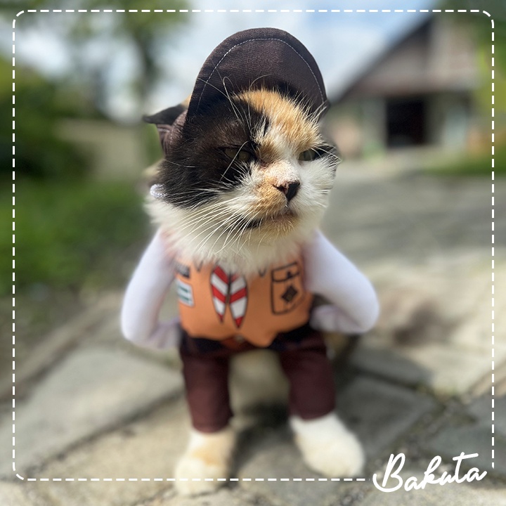 Kostum Anak Sekolah untuk kucing dan anjing Baju Berdiri Seragam Pramuka / Kostum kucing Murah / Baju Kucing Tangerang size S-XL