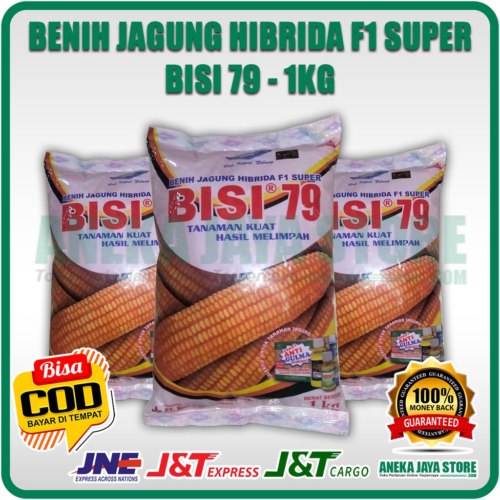 Bibit Jagung Hibrida F1 Super BISI 79 - 1KG