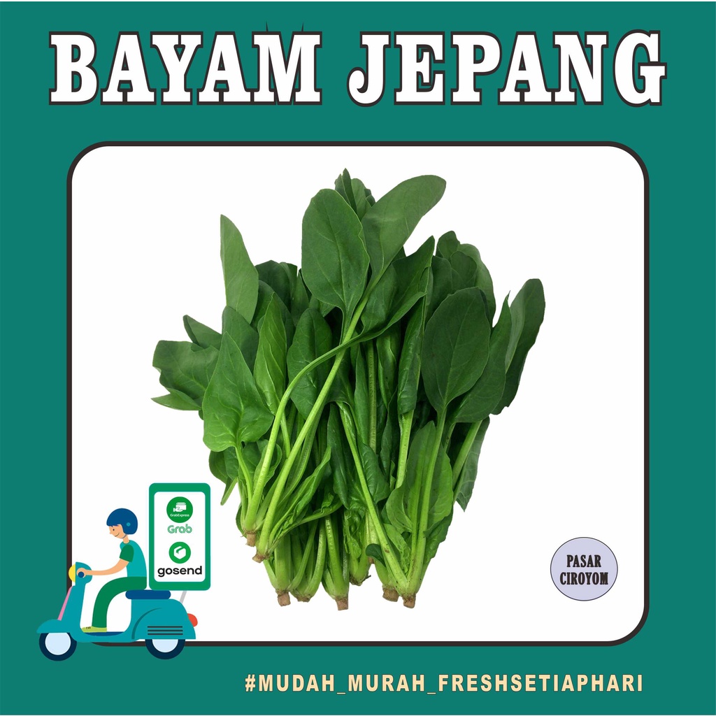 

BAYAM JEPANG FRESH MURAH BANDUNG