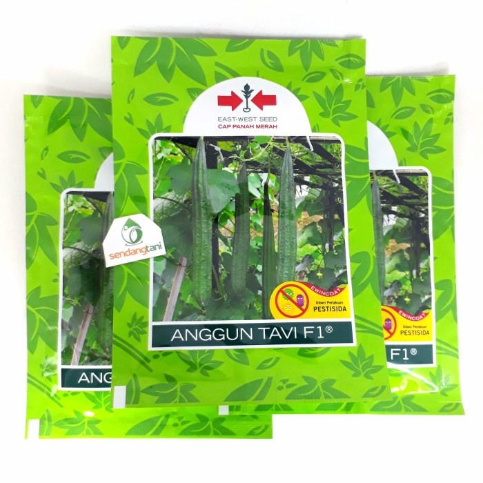 Benih Bibit Gambas Oyong Tahan Virus ANGGUN TAVI F1