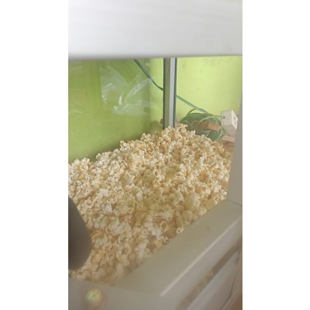 

jagung popcorn 1kg