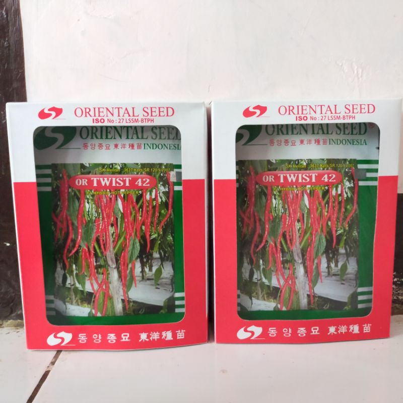 Benih Cabe Or Twist 42 kemasan Original