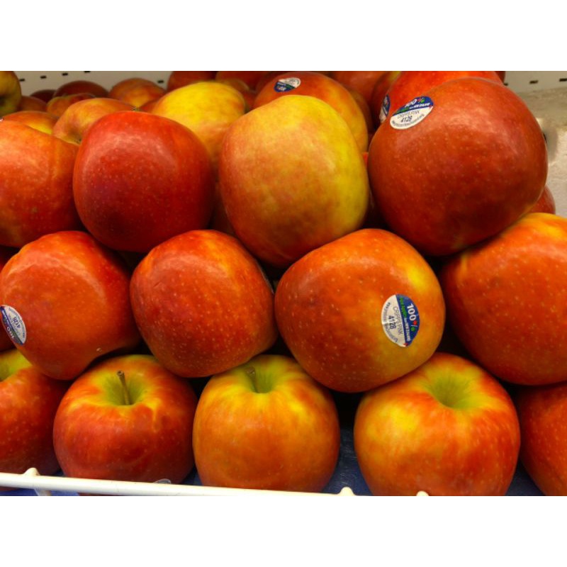 

Apel pink Lady crispps import new Zealand | apel manis | 1 kg