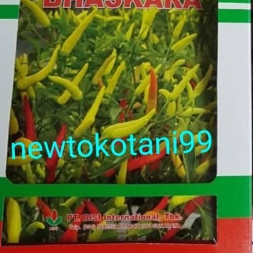 ♛ Benih cabe rawit putih hibrida BHASKARA F1 10 gram cabai baskara f1 10gr dari bisi chia tai ✻