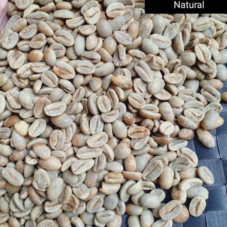 

✽ Green Bean Arabica Gayo Natural G1 ♩
