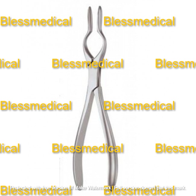 Cottle Walsham Nasal Septum Forcep 23cm Premium